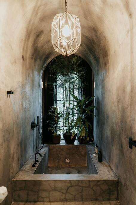 Design Loft With Private Pool And Like Feature Apartment Tulum