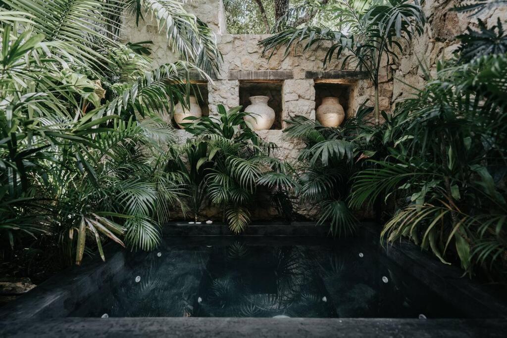 Apartment Design Loft With Private Pool And Like Feature *