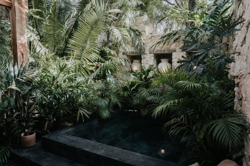 Apartment Design Loft With Private Pool And Like Feature